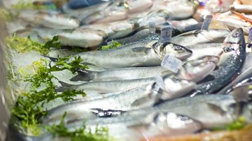 Ползи от рибата