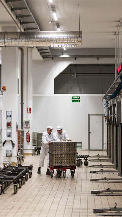 Тези двама души работят под осветлението за хранително-вкусовата промишленост от Philips във фабрика Hero